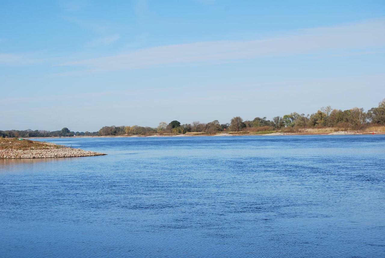 Alte Schmiede Bleckede Lägenhet Exteriör bild