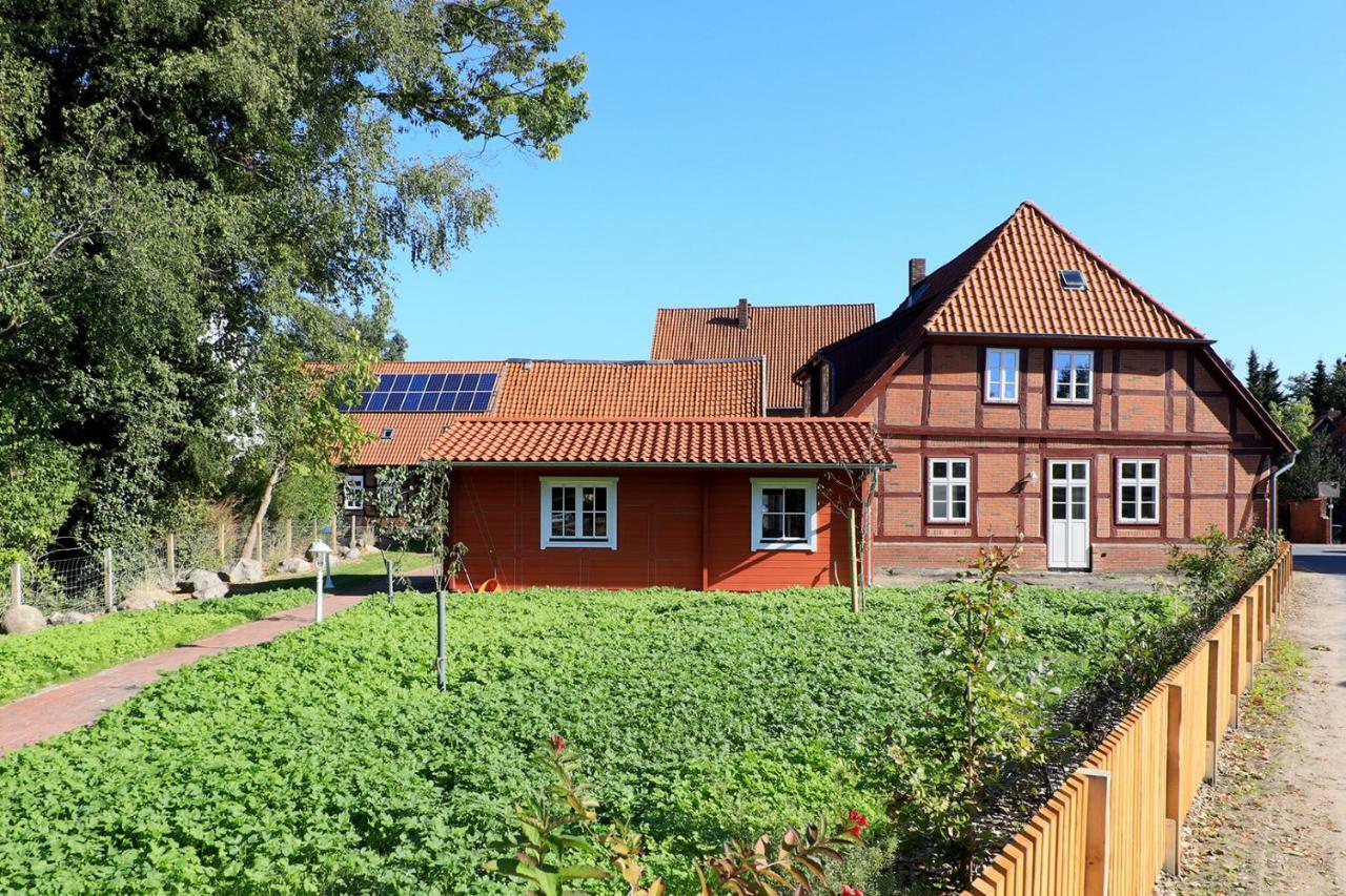 Alte Schmiede Bleckede Lägenhet Exteriör bild